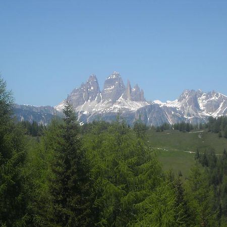 Fabbricato Indipendente Centro Apartment Lozzo Cadore Luaran gambar